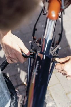 Abus Adaptor Chain Ach Ivy 6KS Chaîne De Verrouillage De Cadre 6 Abus Adaptor Chain Ach Ivy 6KS Chaîne De Verrouillage De Cadre -Pas Cher Vélos Magasin 4003318684579 ABUS AdaptorChain AchIvy 6KS Rahmenschlosskette 3